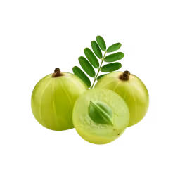 Fresh amla Indian gooseberry - rich in Vitamin C for immunity and hair health